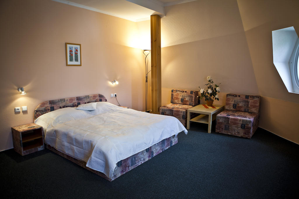 Vila Demanova Liptovský Mikuláš 部屋 写真